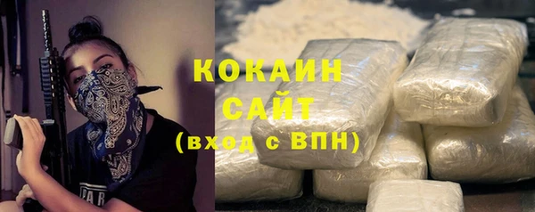 крисы Елабуга