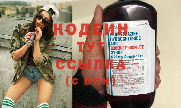 крисы Елабуга