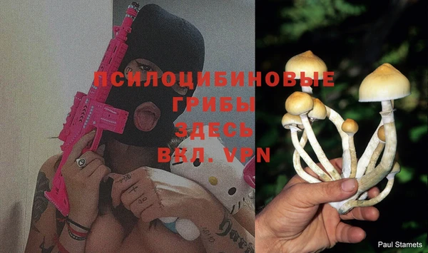 MDMA Premium VHQ Ельня