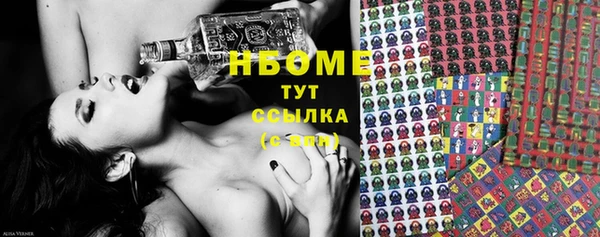 крисы Елабуга
