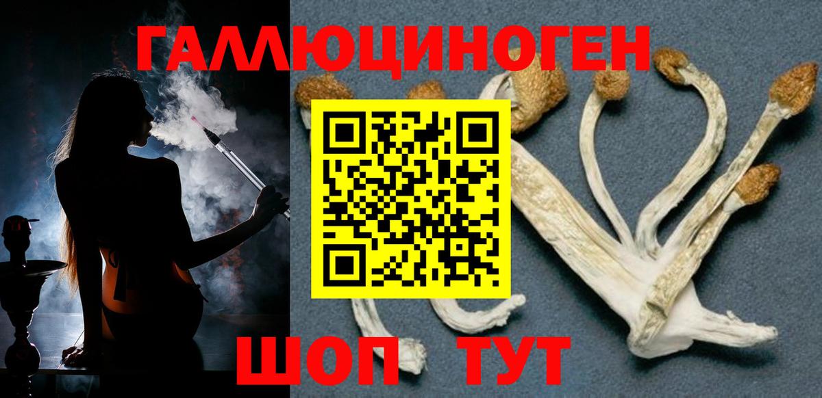 Галлюциногенные грибы мухоморы  Вятские Поляны  Псилоцибиновые грибы Psilocybine cubensis 