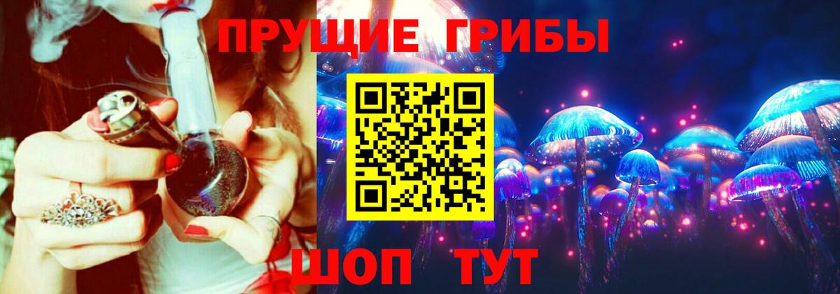 Вятские Поляны  Псилоцибиновые грибы Cubensis  Псилоцибиновые грибы ЛСД  Вход с VPN 