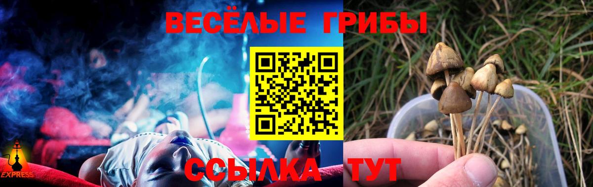 Галлюциногенные грибы мицелий Вятские Поляны